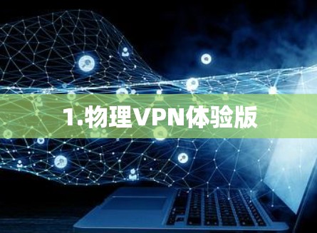 1.物理VPN体验版 1.物理VPN体验版