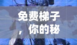 免费梯子，你的秘密武器