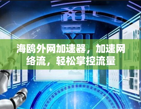 海鸥外网加速器,加速网络流,轻松掌控流量 海鸥外网加速器,加速网络流,轻松掌控流量