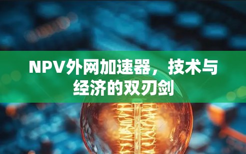 NPV外网加速器,技术与经济的双刃剑 NPV外网加速器,技术与经济的双刃剑
