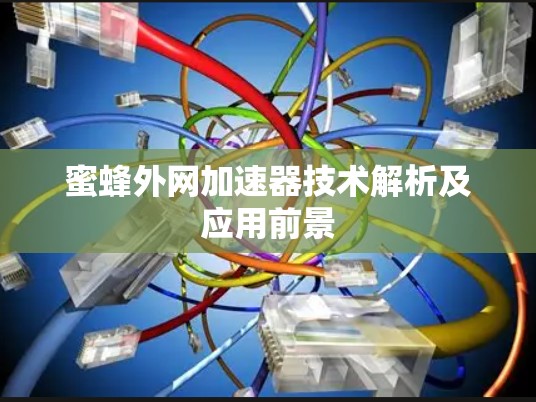 蜜蜂外网加速器技术解析及应用前景 蜜蜂外网加速器技术解析及应用前景
