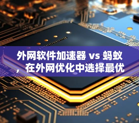 外网软件加速器 vs 蚂蚁,在外网优化中选择最优解 外网软件加速器 vs 蚂蚁,在外网优化中选择最优解