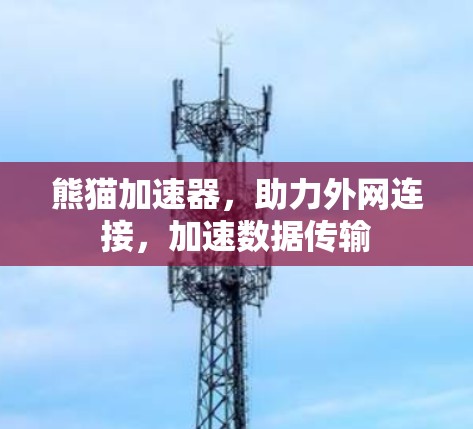 熊猫加速器,助力外网连接,加速数据传输 熊猫加速器,助力外网连接,加速数据传输