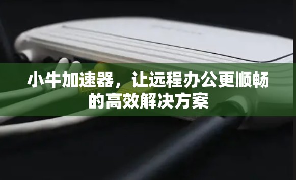 小牛加速器,让远程办公更顺畅的高效解决方案 小牛加速器,让远程办公更顺畅的高效解决方案