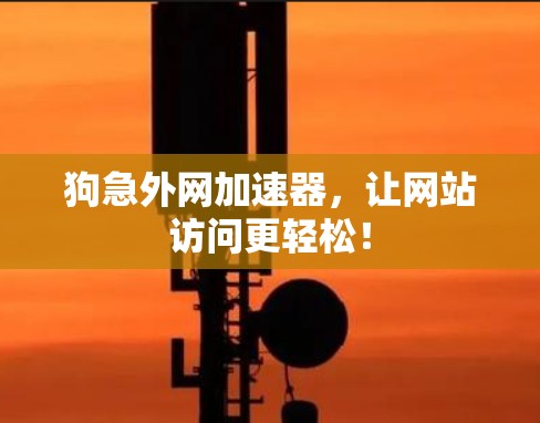 狗急外网加速器，让网站访问更轻松！