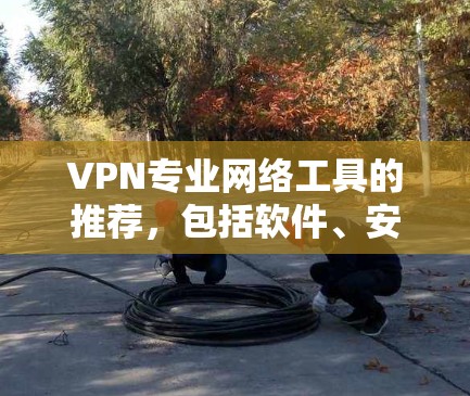 VPN专业网络工具的推荐，包括软件、安全工具、限制功能、价格、兼容性和定制化选项。以下是详细的分步指南，供您参考
