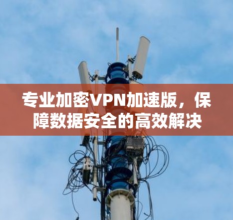 专业加密VPN加速版,保障数据安全的高效解决方案 专业加密VPN加速版,保障数据安全的高效解决方案
