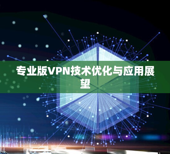 专业版VPN技术优化与应用展望