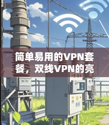 简单易用的VPN套餐,双线VPN的亮点与体验 简单易用的VPN套餐,双线VPN的亮点与体验