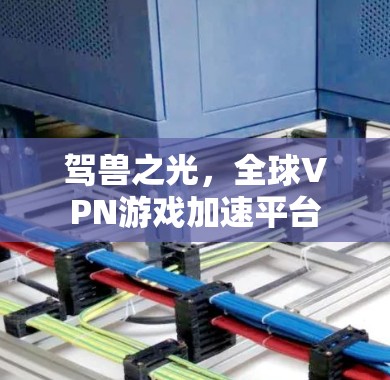 驾兽之光,全球VPN游戏加速平台 驾兽之光,全球VPN游戏加速平台