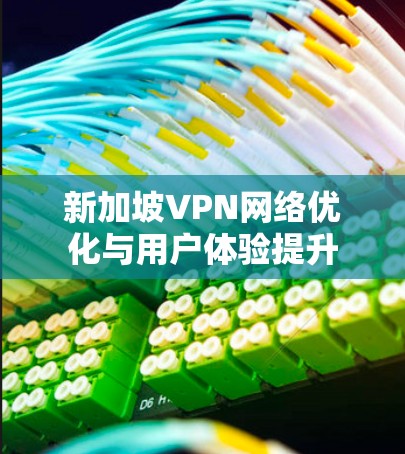 新加坡VPN网络优化与用户体验提升 新加坡VPN网络优化与用户体验提升