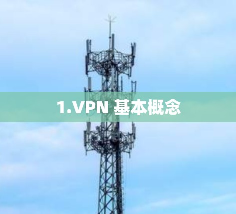 1.VPN 基本概念 1.VPN 基本概念