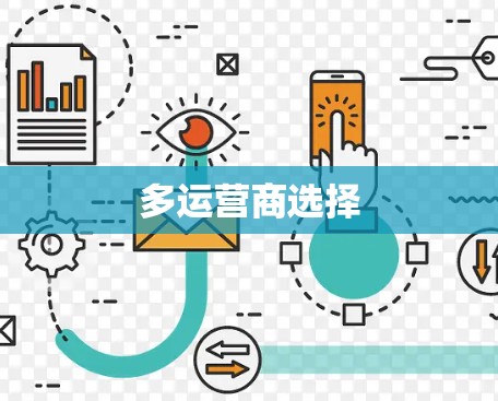 多运营商选择 多运营商选择