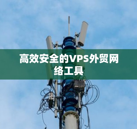 高效安全的VPS外贸网络工具 高效安全的VPS外贸网络工具