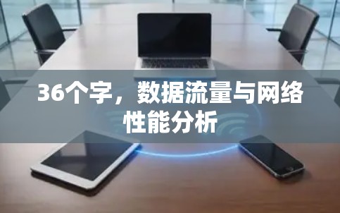 36个字，数据流量与网络性能分析