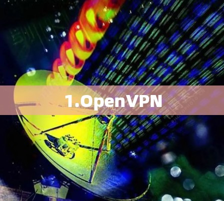 1.OpenVPN 1.OpenVPN