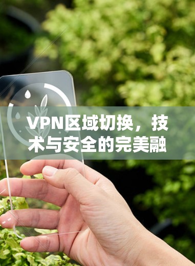 VPN区域切换，技术与安全的完美融合