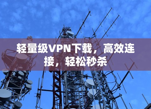 轻量级VPN下载,高效连接,轻松秒杀 轻量级VPN下载,高效连接,轻松秒杀