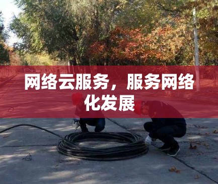 网络云服务,服务网络化发展 网络云服务,服务网络化发展
