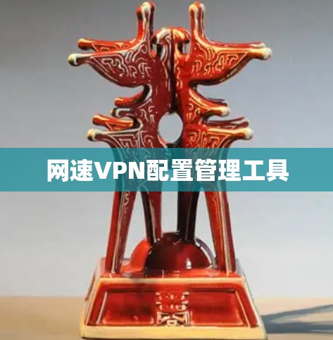 网速VPN配置管理工具