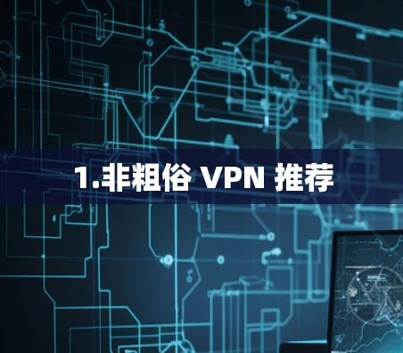 1.非粗俗 VPN 推荐