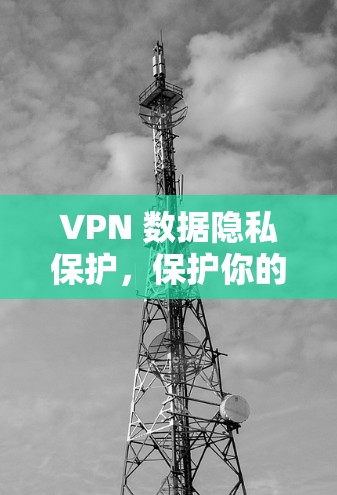 VPN 数据隐私保护,保护你的隐私,释放你的潜力