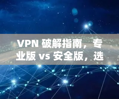 VPN 破解指南，专业版 vs 安全版，选哪个？